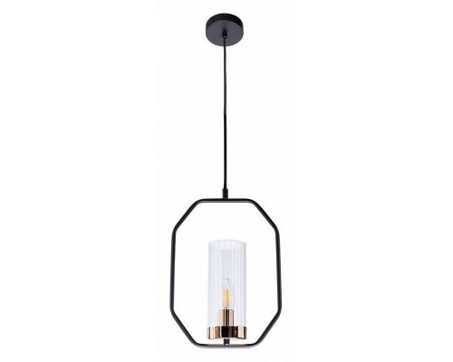 Подвесной светильник Arte Lamp Celaeno A7004SP-1BK