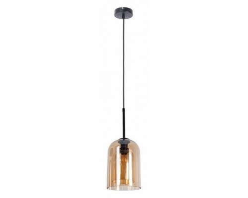 Подвесной светильник Arte Lamp Paio A7015SP-1BK