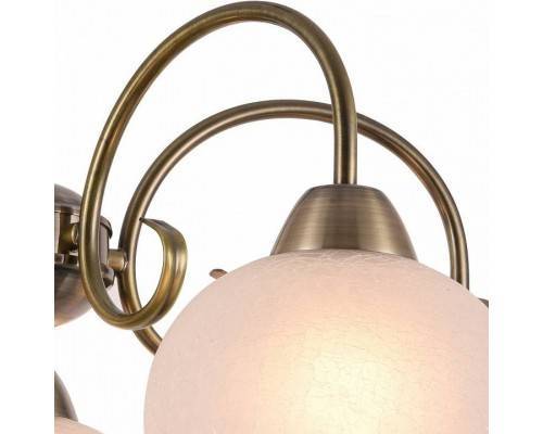 Подвесная люстра Arte Lamp Margo A9317LM-5AB