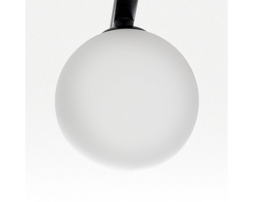 Потолочная люстра Citilux Glob CL209261