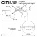 Потолочная люстра Citilux Glob CL209263