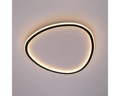 Накладной светильник Citilux ТRIO CL215B251E