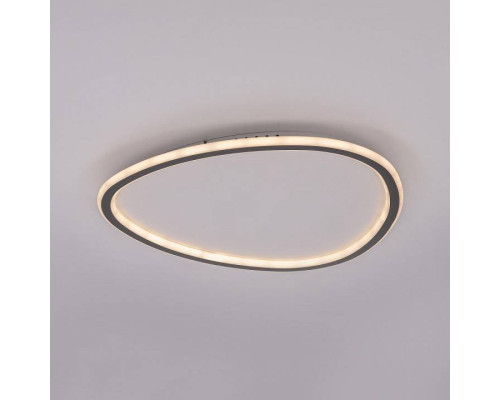 Накладной светильник Citilux ТRIO CL215B251E