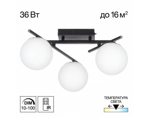 Потолочная люстра Citilux Dorsy CL223132