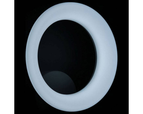 Бра Citilux Паркер CL225B310