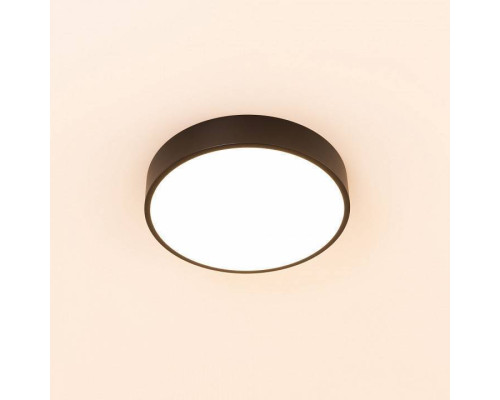 Накладной светильник Citilux Купер CL72424V1