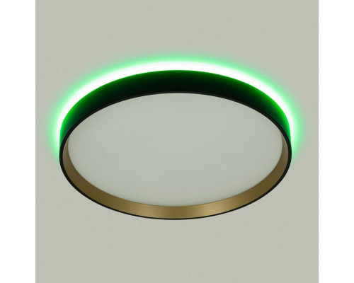 Накладной светильник Citilux ETALON CL750321R