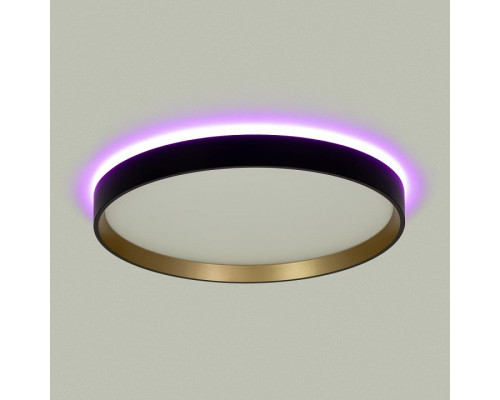 Накладной светильник Citilux ETALON CL750321R