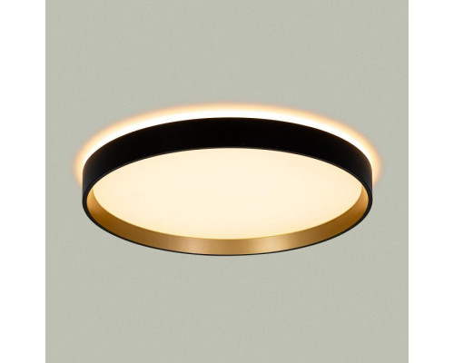 Накладной светильник Citilux ETALON CL750321R