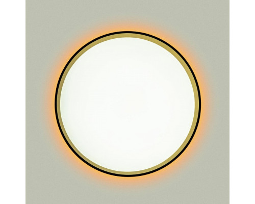 Накладной светильник Citilux ETALON CL750321R