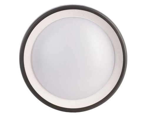 Накладной светильник Deko-Light Canis 731043