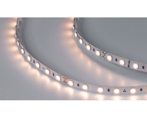 Лента светодиодная DesignLed DSG560 00-00000521