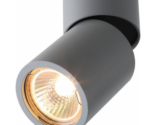 Накладной светильник Divinare Gavroche Posto 1800/05 PL-1