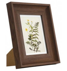 Фоторамка настольная Eglo Renabie 423003