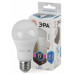 Лампа светодиодная Эра Стандарт LED A60-17W-840-E27