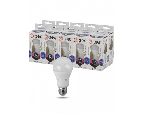 Лампа светодиодная Эра Стандарт LED A60-17W-860-E27