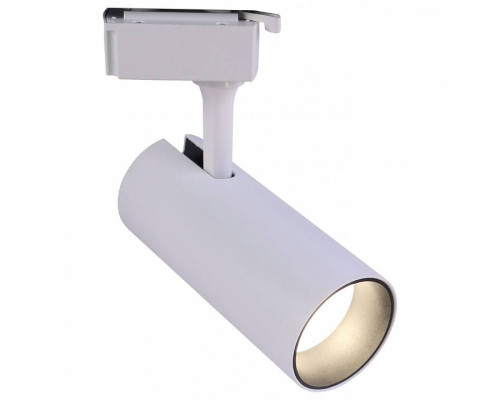 Светильник на штанге Эра  TR5-10 COB WH