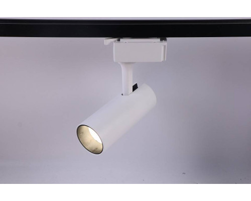 Светильник на штанге Эра  TR5-10 COB WH