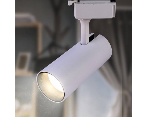 Светильник на штанге Эра  TR5-10 COB WH