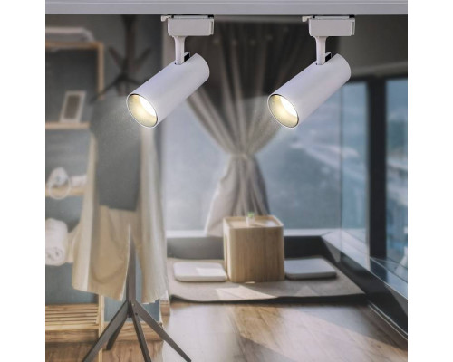 Светильник на штанге Эра  TR5-10 COB WH