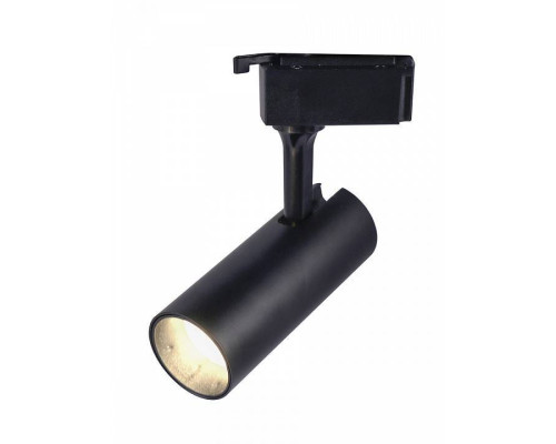 Светильник на штанге Эра  TR5-10 COB BK
