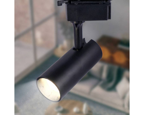 Светильник на штанге Эра  TR5-10 COB BK