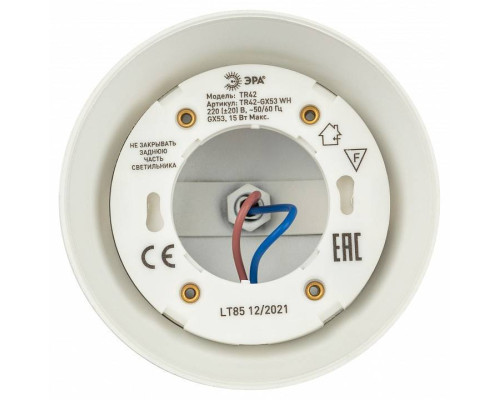 Светильник на штанге Эра  TR42-GX53 WH