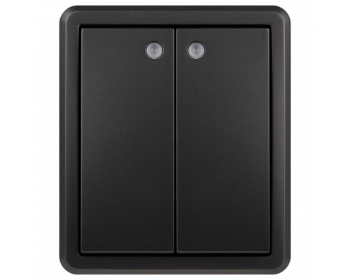 Выключатель двухклавишный с подсветкой Эра Эра Эксперт 11-1205-05