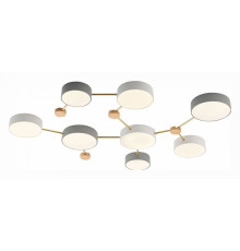 Накладной светильник EVOLUCE Dossena SLE600102-08