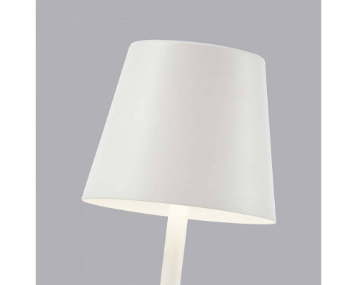 Настольная лампа декоративная F-promo Pyari 4614-1T