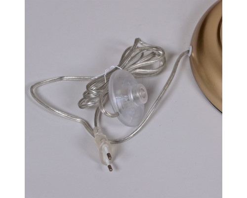 Торшер ILLUMICO IL5233-1FLS-25 ELITE