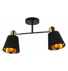 Светильник на штанге ILLUMICO Abelie IL6116-2COU-79 BK GD Abelie