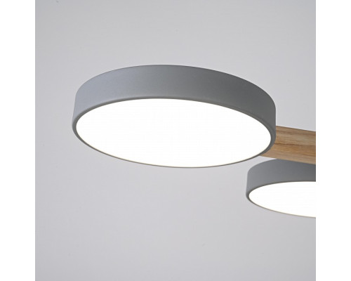 Люстра на штанге Imperiumloft TURNA Gray TURNA-B01