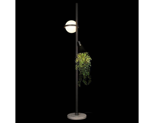 Торшер Loft it Jardin 10121/F Dark grey