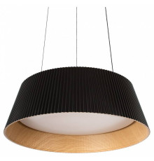 Подвесной светильник Loft it Evans 10224P Black