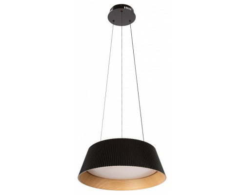 Подвесной светильник Loft it Evans 10224P Black