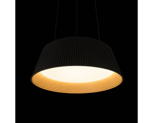 Подвесной светильник Loft it Evans 10224P Black