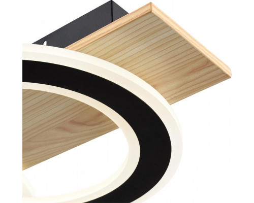 Накладной светильник Lumion PINE 8023/80CL