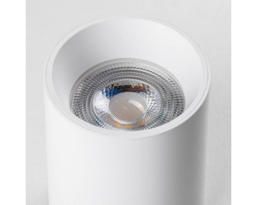 Накладной светильник Lightstar Rullo 213436