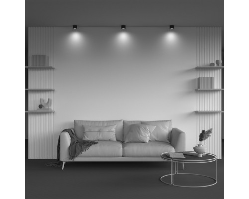 Накладной светильник Maytoni Technical Calipso C106CL-GX53-B