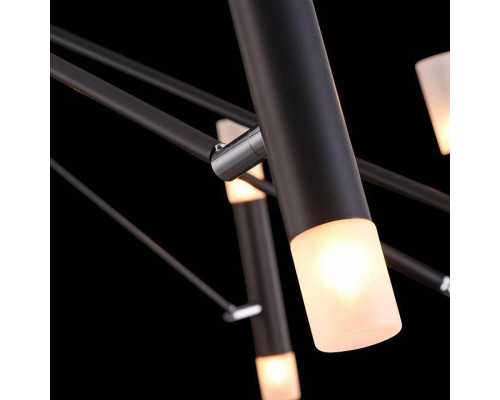 Потолочная люстра Maytoni Vigo MOD620CL-24B