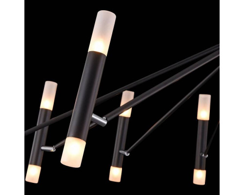 Потолочная люстра Maytoni Vigo MOD620CL-24B