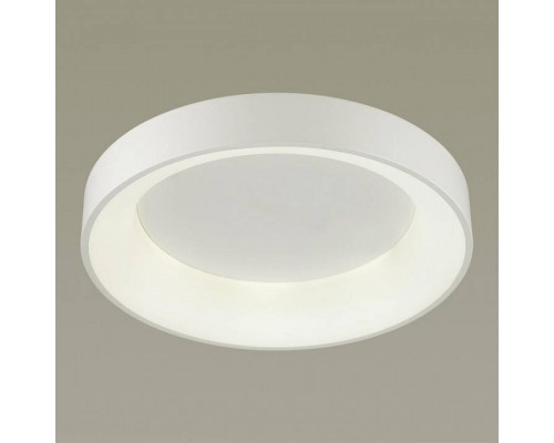 Накладной светильник Odeon Light Sole 4066/40CL