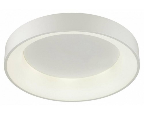 Накладной светильник Odeon Light Sole 4066/40CL