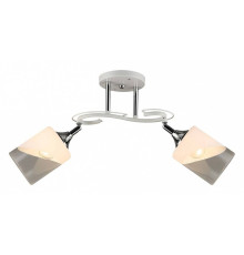 Светильник на штанге 04861-0.3-02 WT+CH