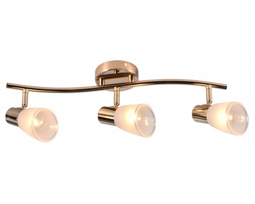 Люстра на штанге De Markt 05947-0.8-03 FGD