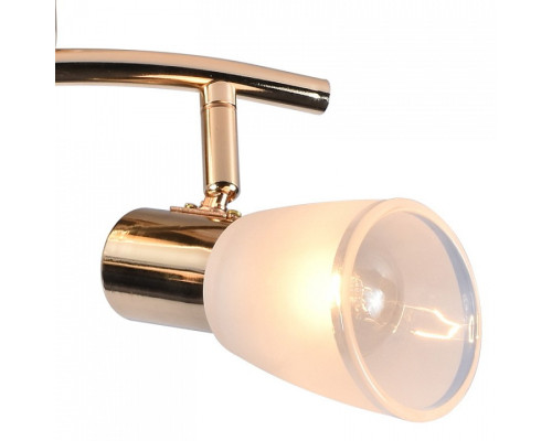 Люстра на штанге De Markt 05947-0.8-04 FGD