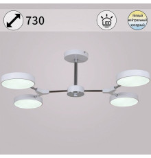 Люстра на штанге 13246-4.3-04