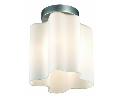 Светильник накладной ST-Luce Onde 1xG9 SL116.502.01