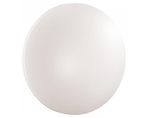Накладной светильник Sonex PALE 3017/CLN